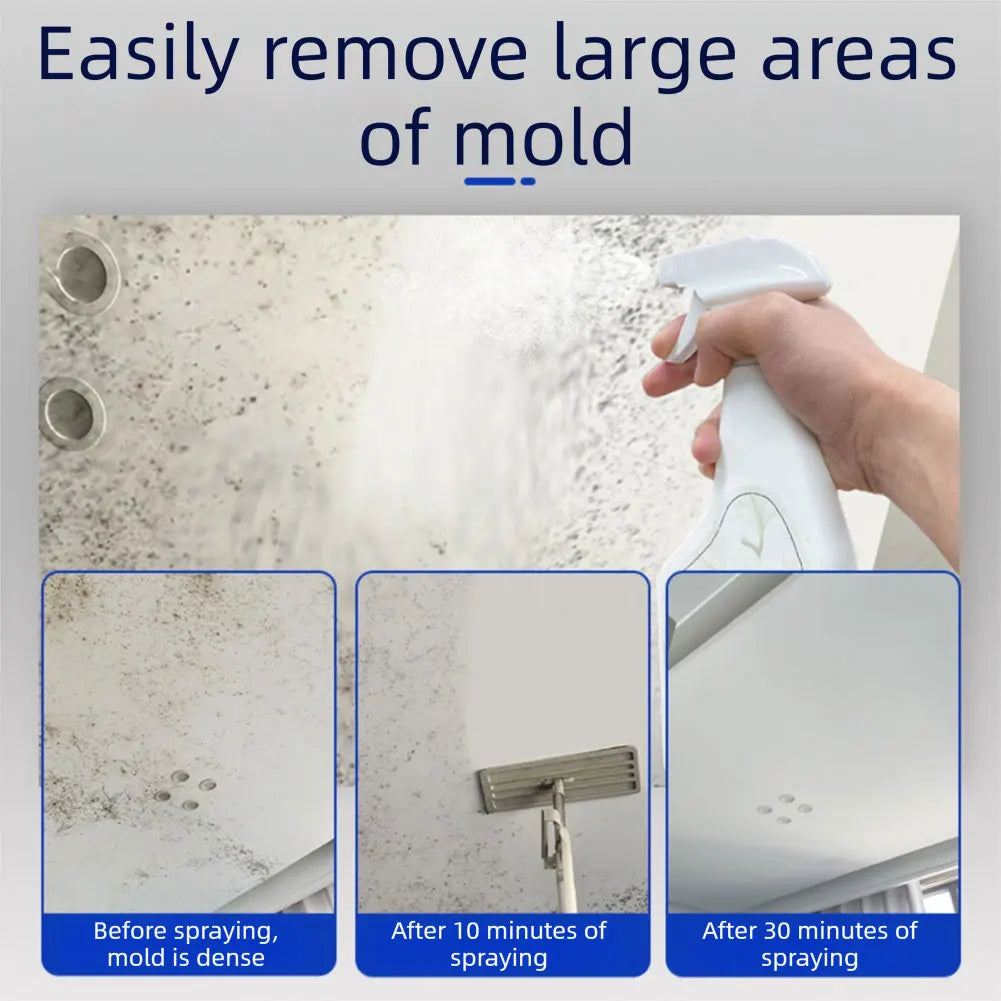 Mold Removal Spray