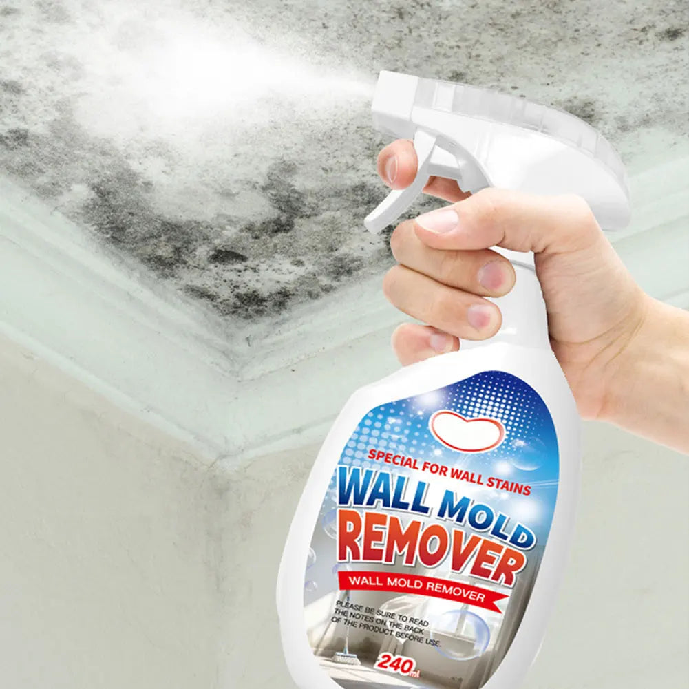 Mold Removal Spray